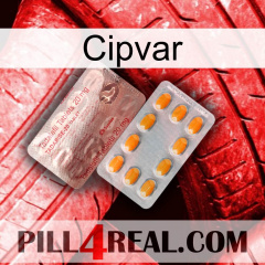 Cipvar new13